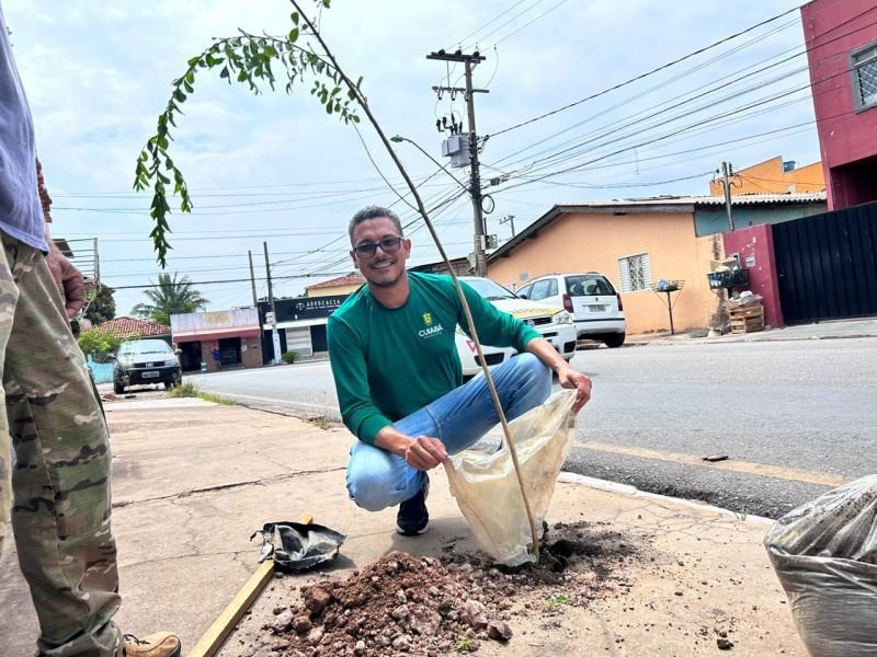 Escassez de arborização em calçadas é detectada com ajuda de satélite e plantio recomeça para minimizar o calor